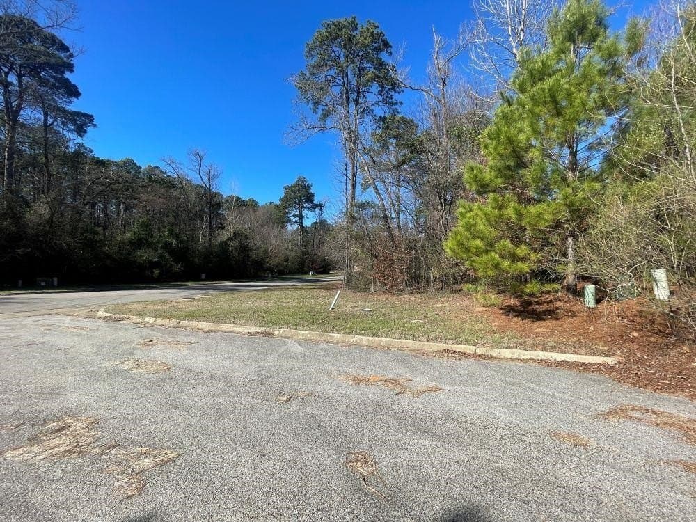 0.22 acres in Gregg County gallery image 3