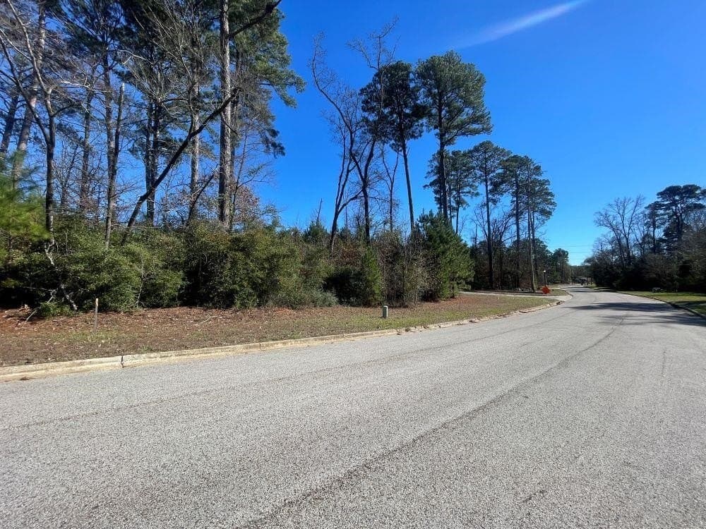 0.22 acres in Gregg County gallery image 4