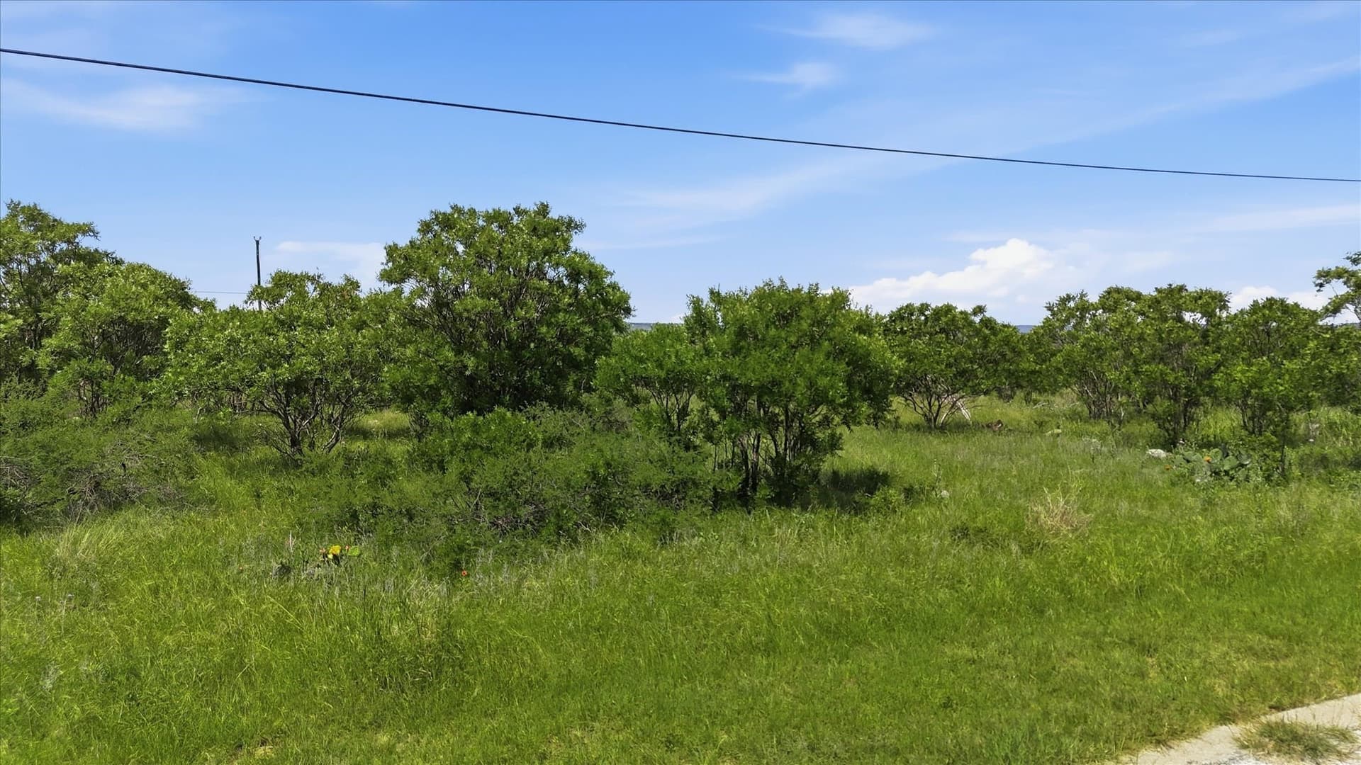 0.23 acres in Palo Pinto County gallery image 3