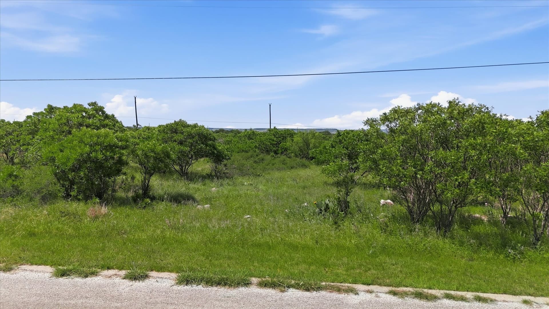 0.23 acres in Palo Pinto County gallery image 2