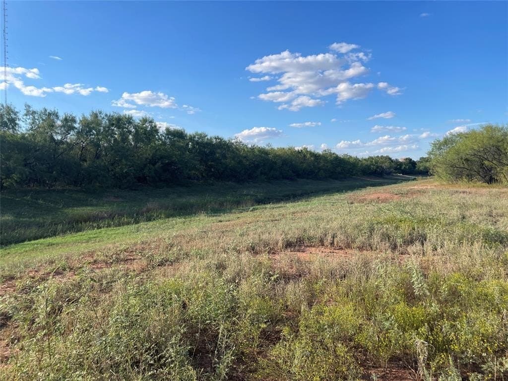 22.14 acres in Taylor County gallery image 2