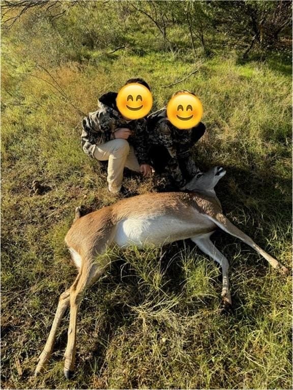 22.14 acres in Taylor County gallery image 4