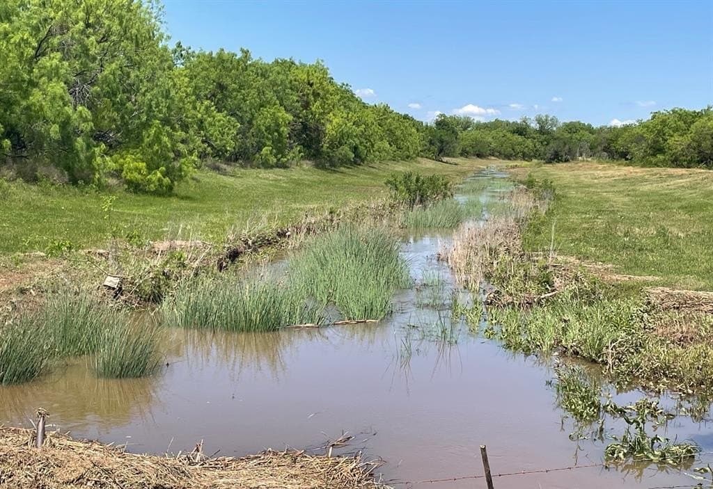 22.14 acres in Taylor County gallery image 3