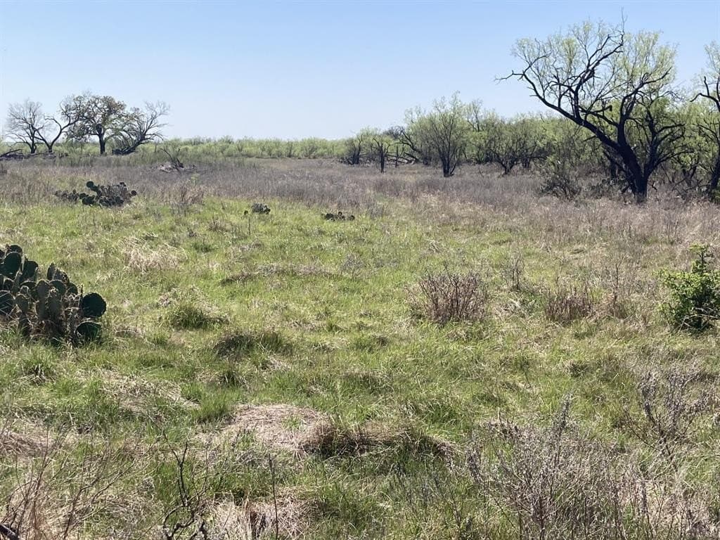 10.4 acres in Young County gallery image 2