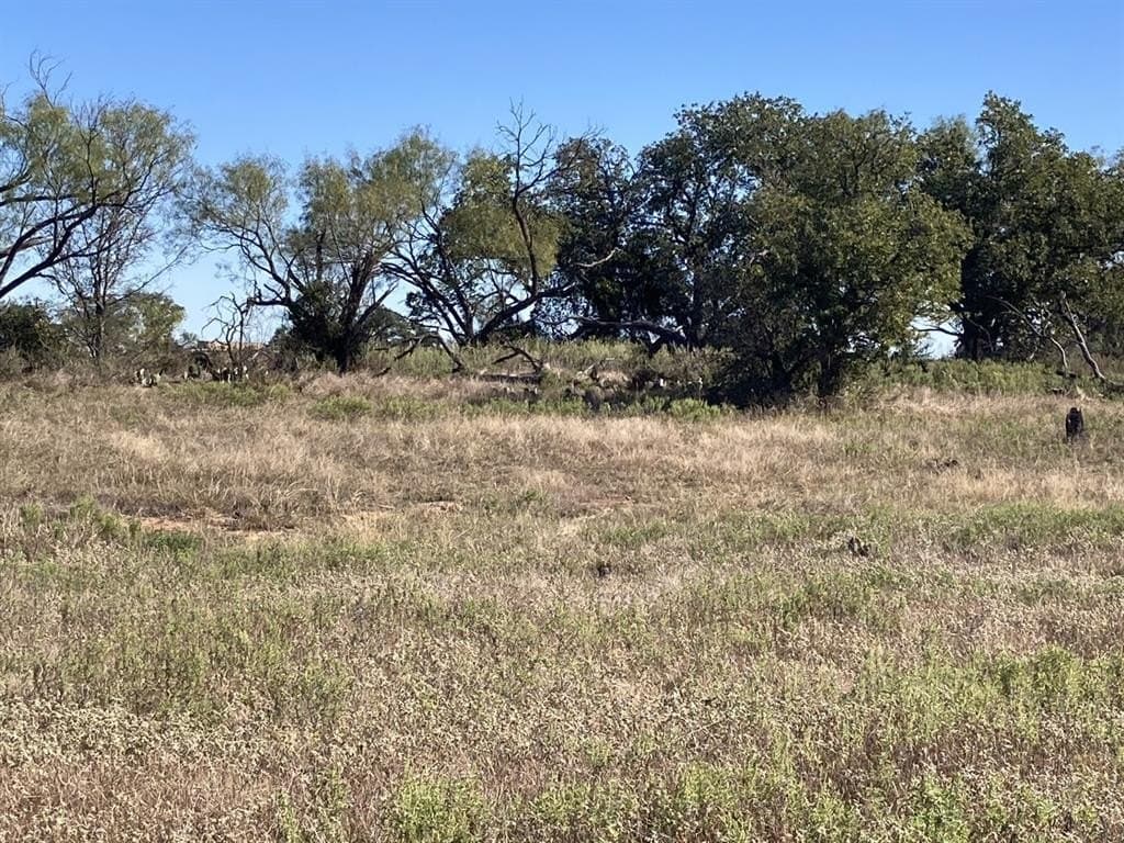 10.4 acres in Young County gallery image 4