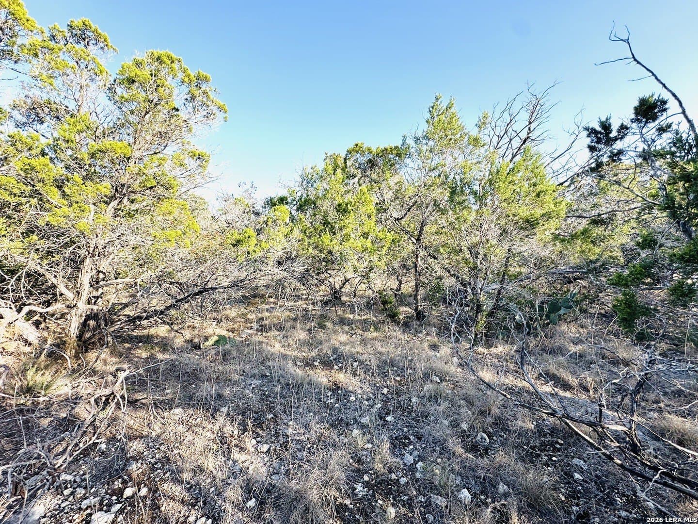 0.21 acres in Bandera County gallery image 4