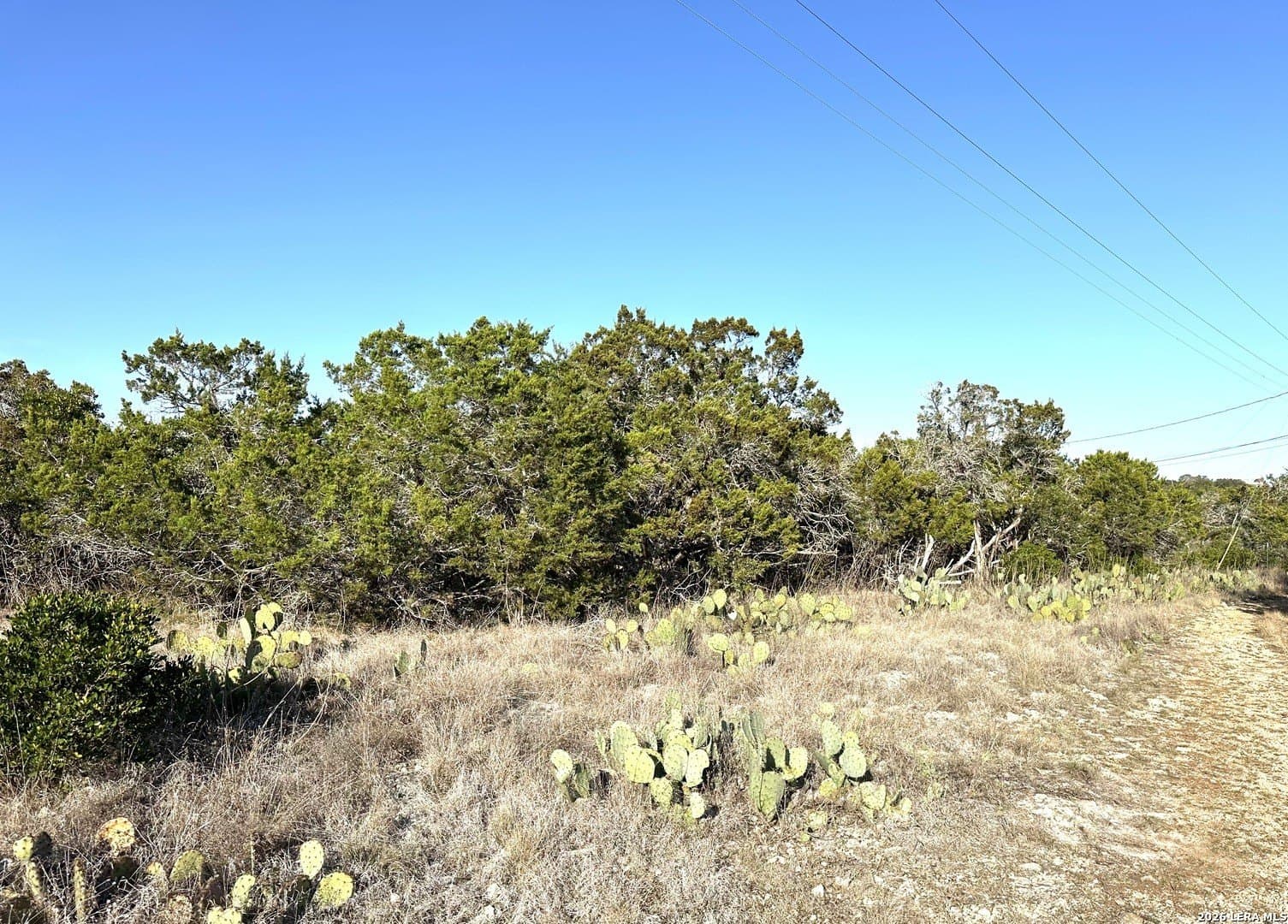 0.21 acres in Bandera County gallery image 2
