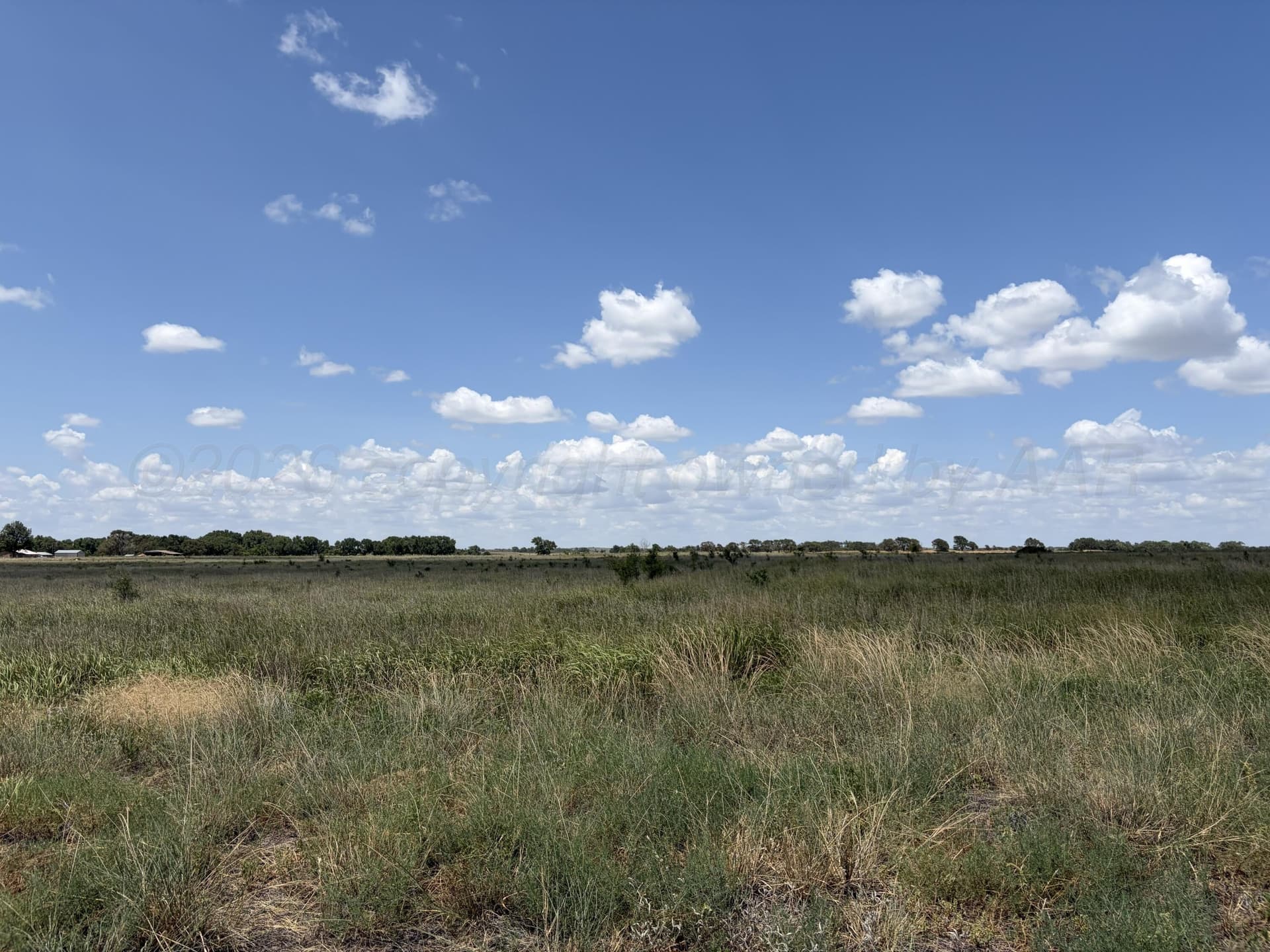 19.12 acres in Texas County - photo 3
