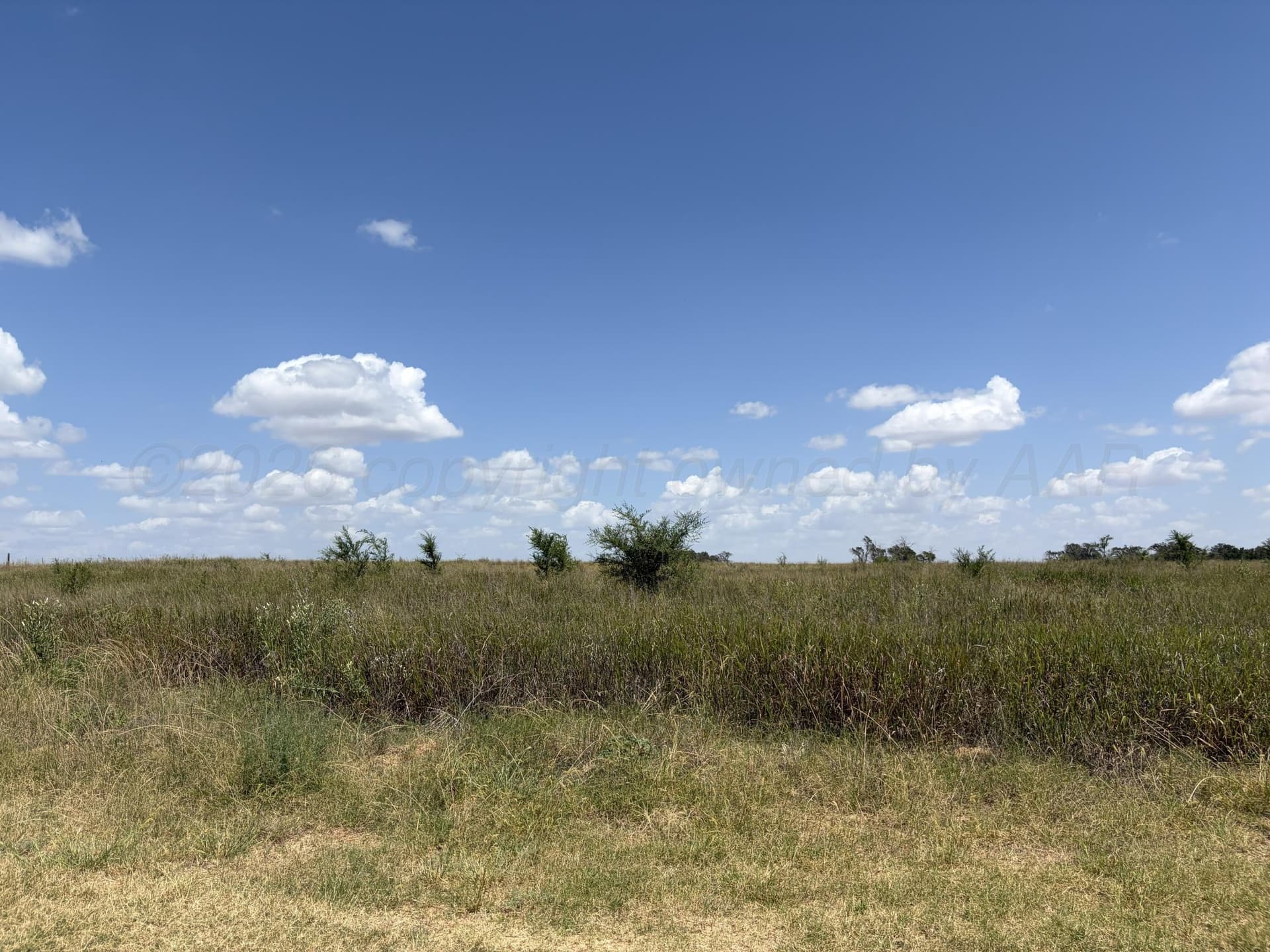 19.12 acres in Texas County - photo 5