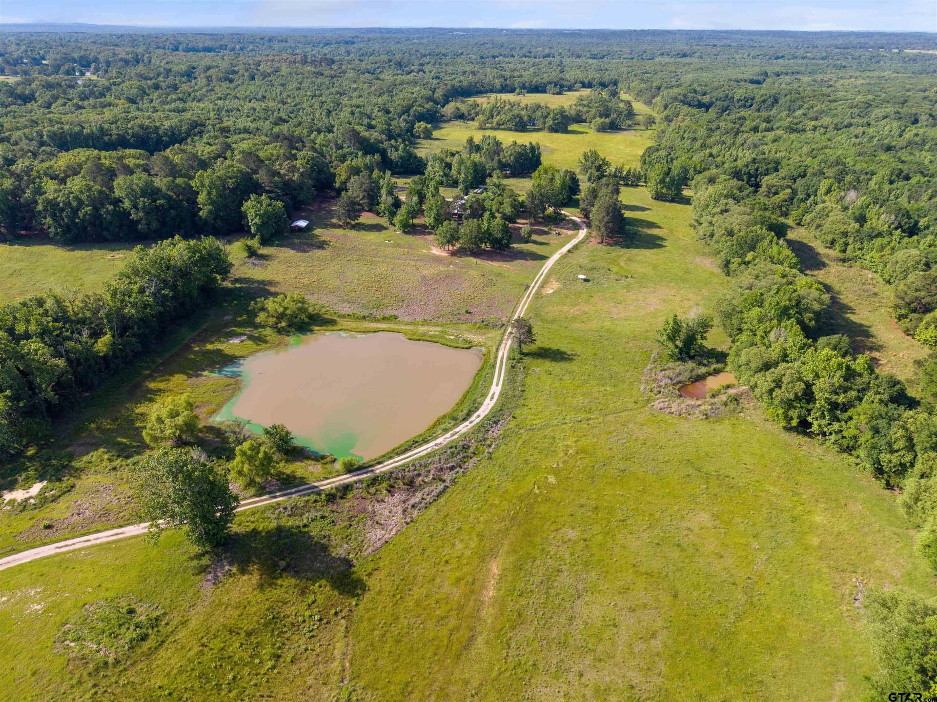 29.38 acres in Wood County gallery image 4
