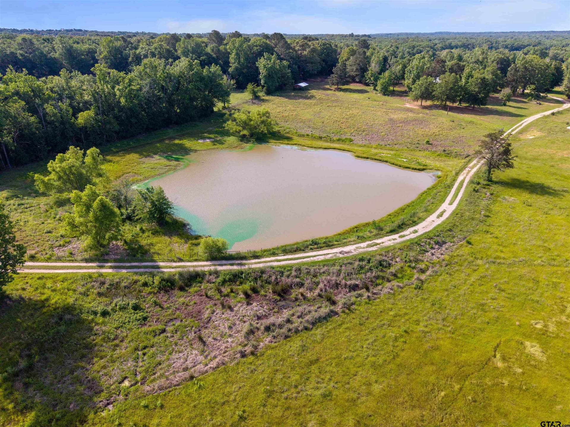 29.38 acres in Wood County gallery image 3