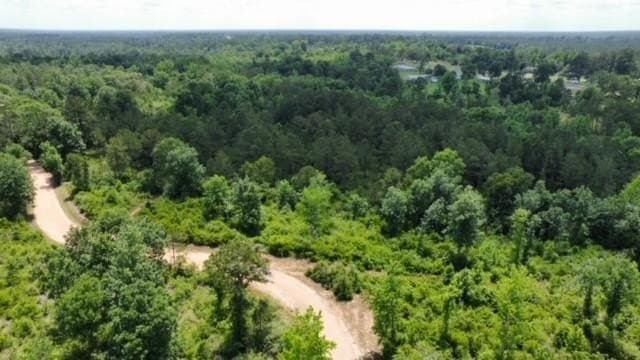 22.79 acres in Texas County gallery image 3