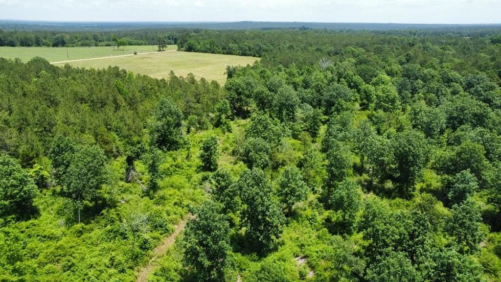 22.79 acres in Texas County featured view