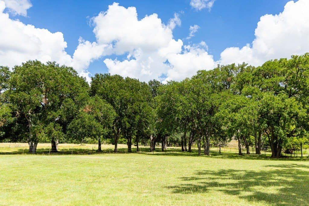 178.45 acres in Kerr County - photo 38