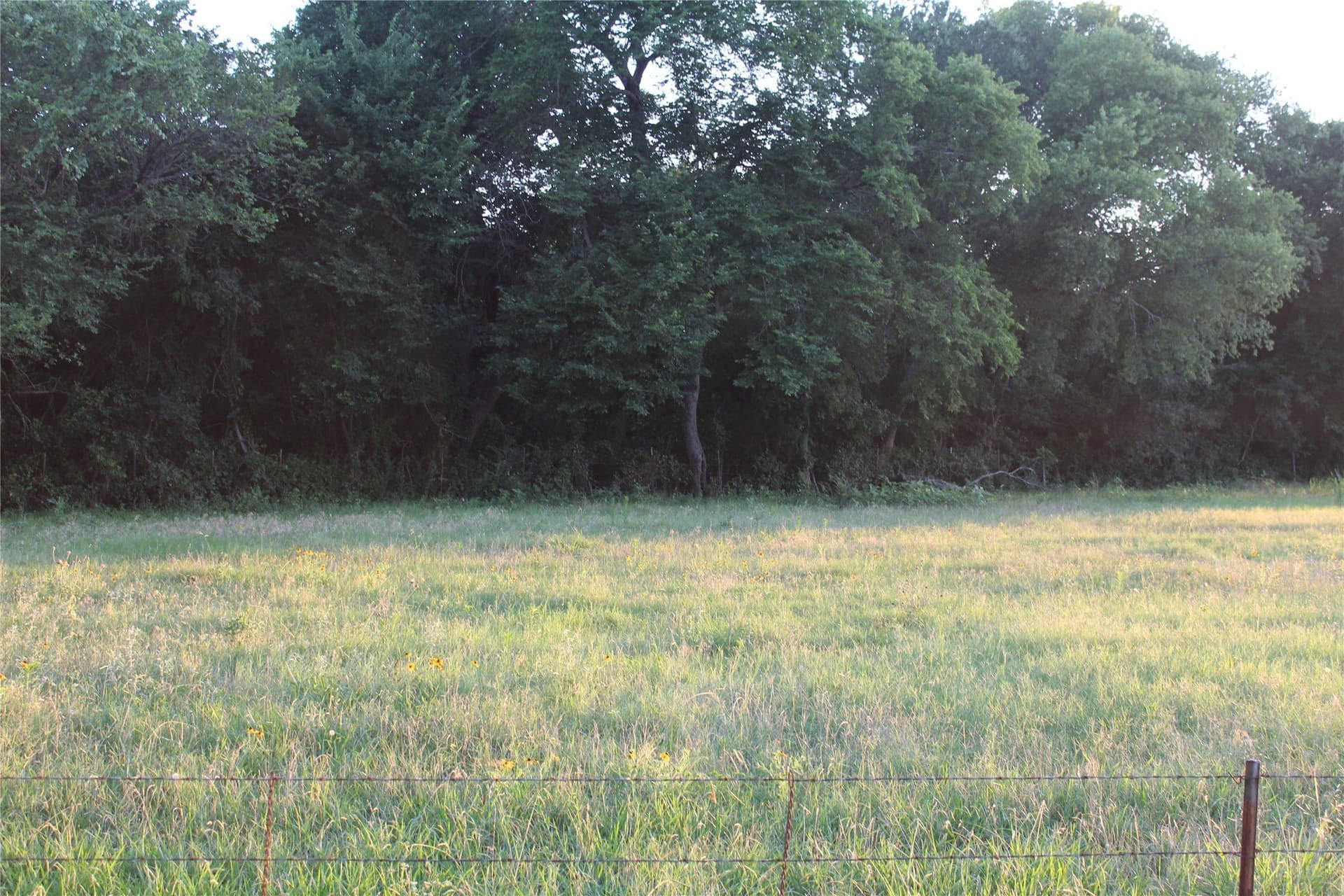 5 acres in Johnson County - photo 5
