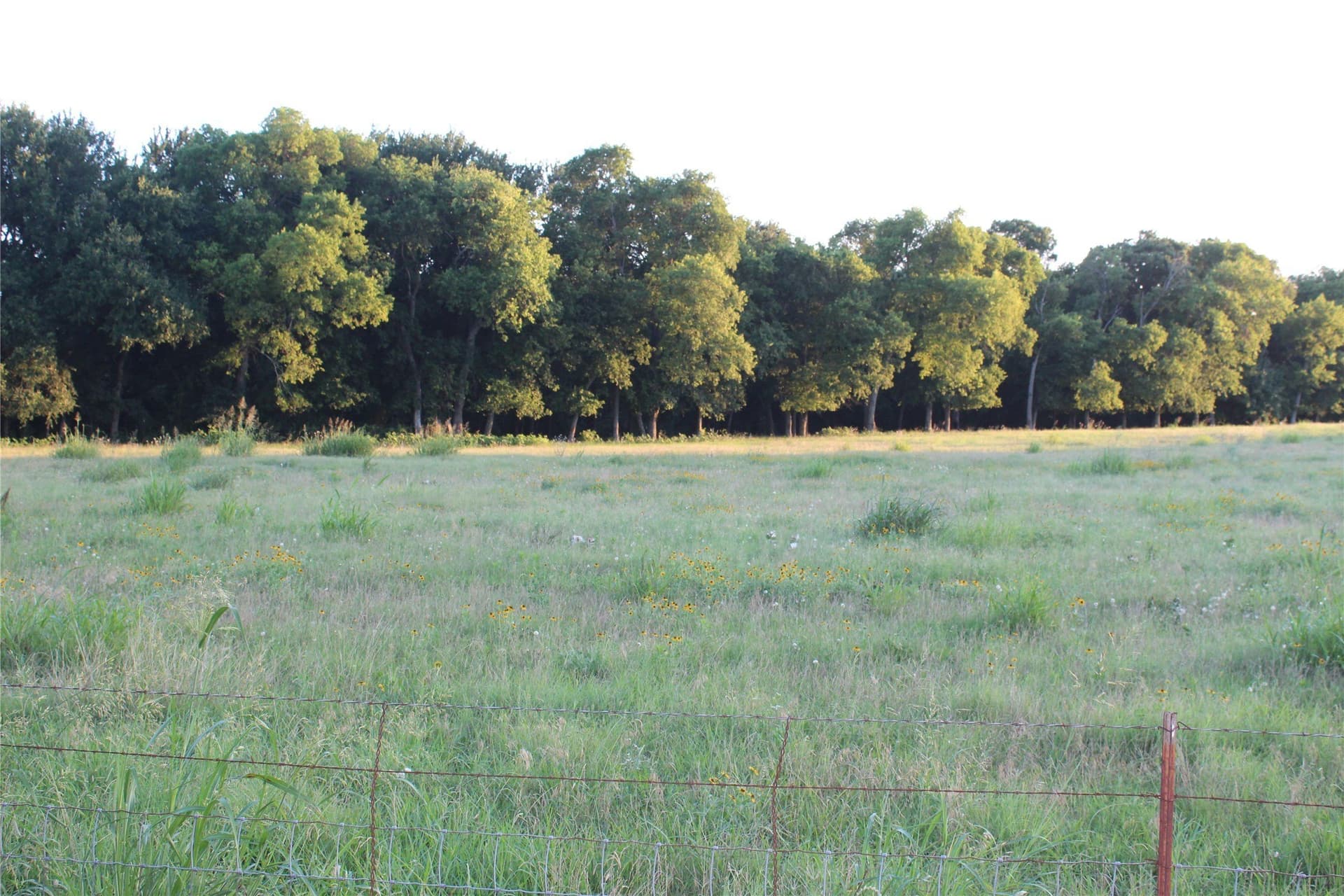 5 acres in Johnson County - photo 7