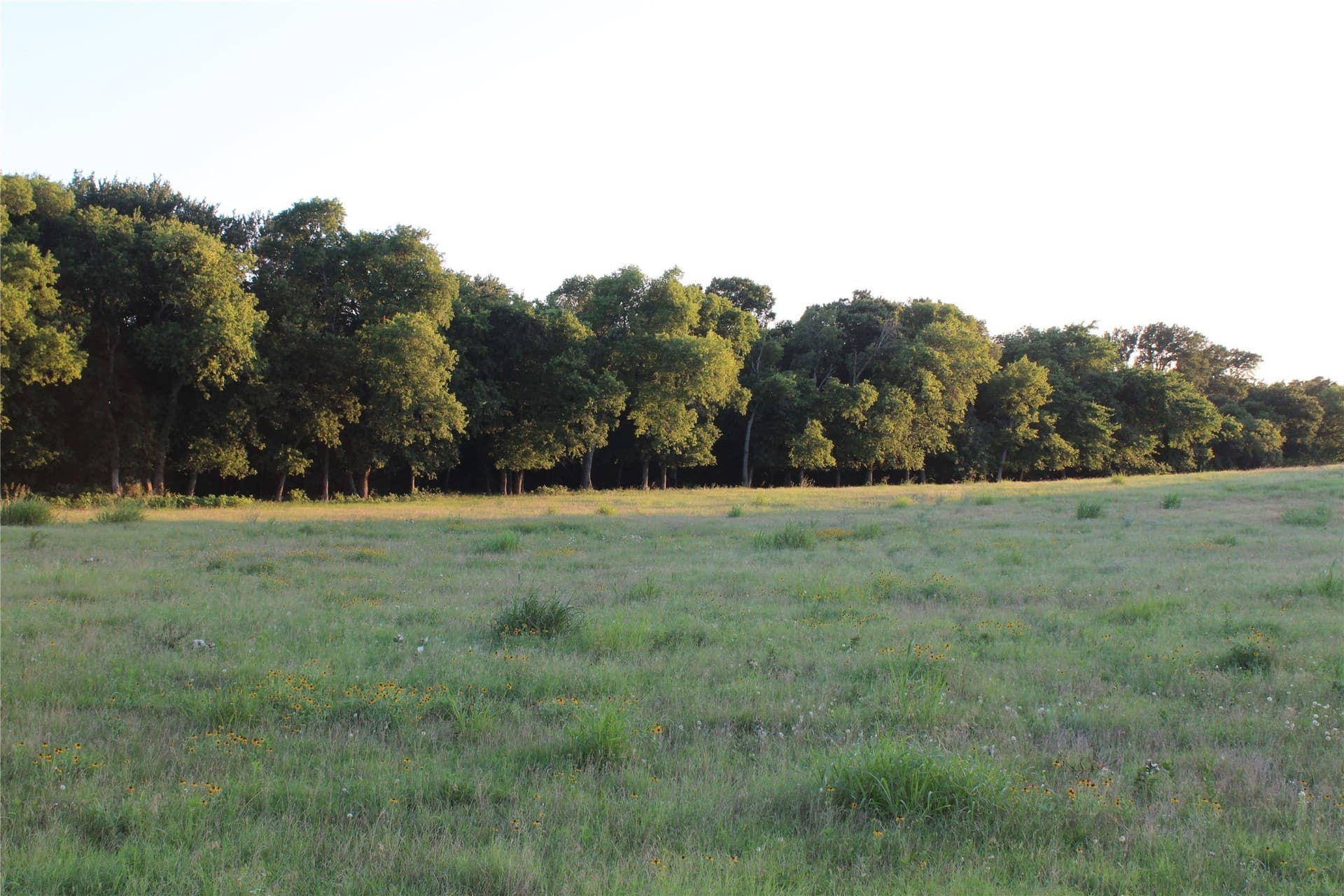 5 acres in Johnson County - photo 3