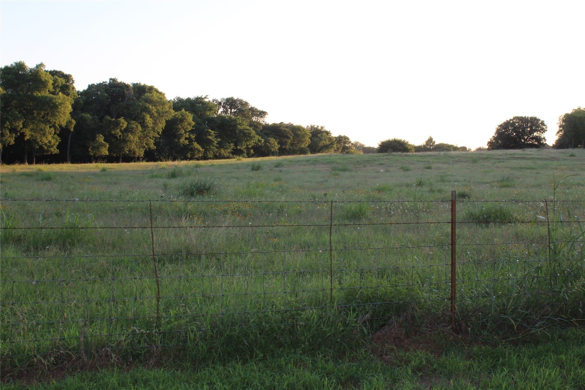 5 acres in Johnson County - photo 4