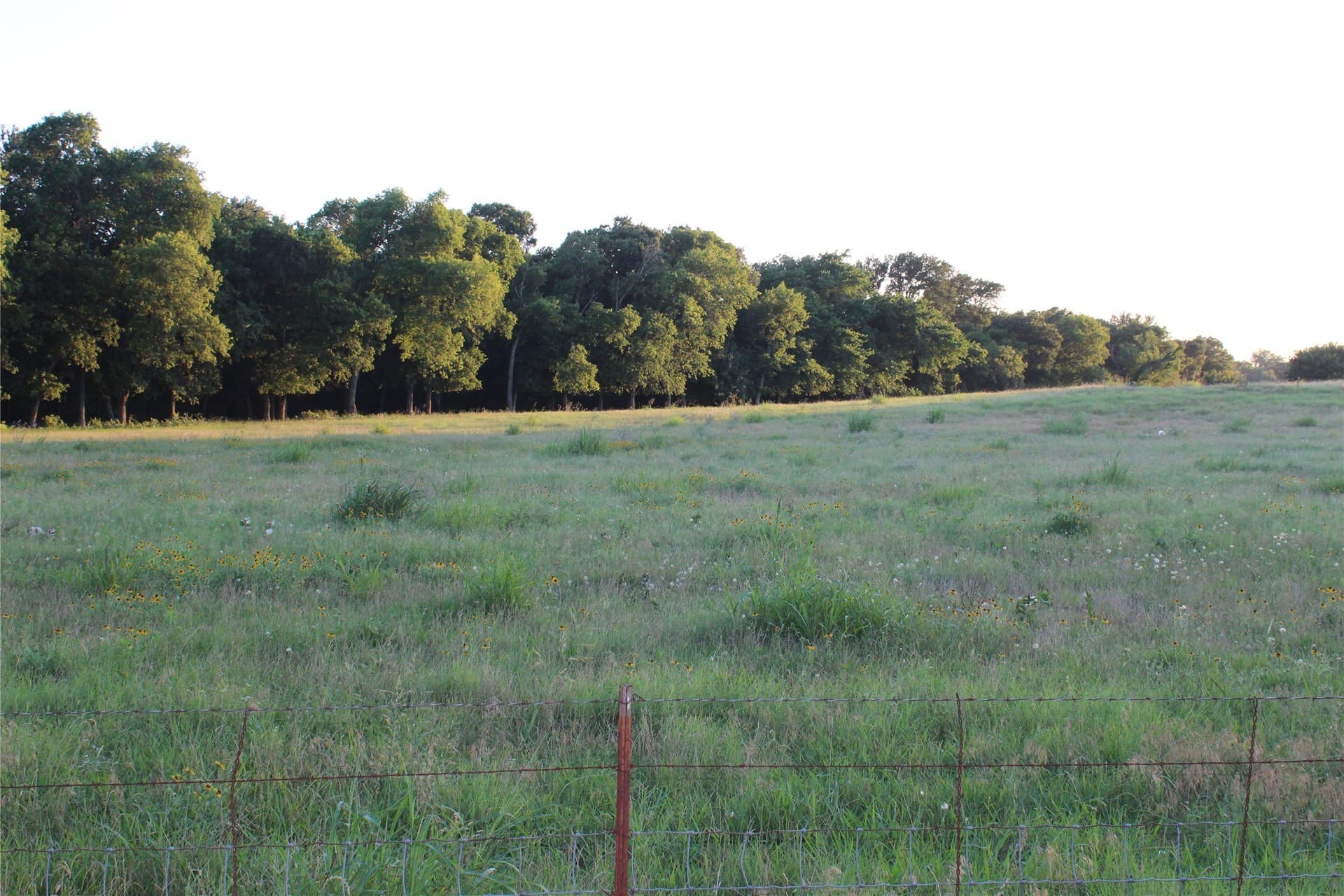 5 acres in Johnson County - photo 6