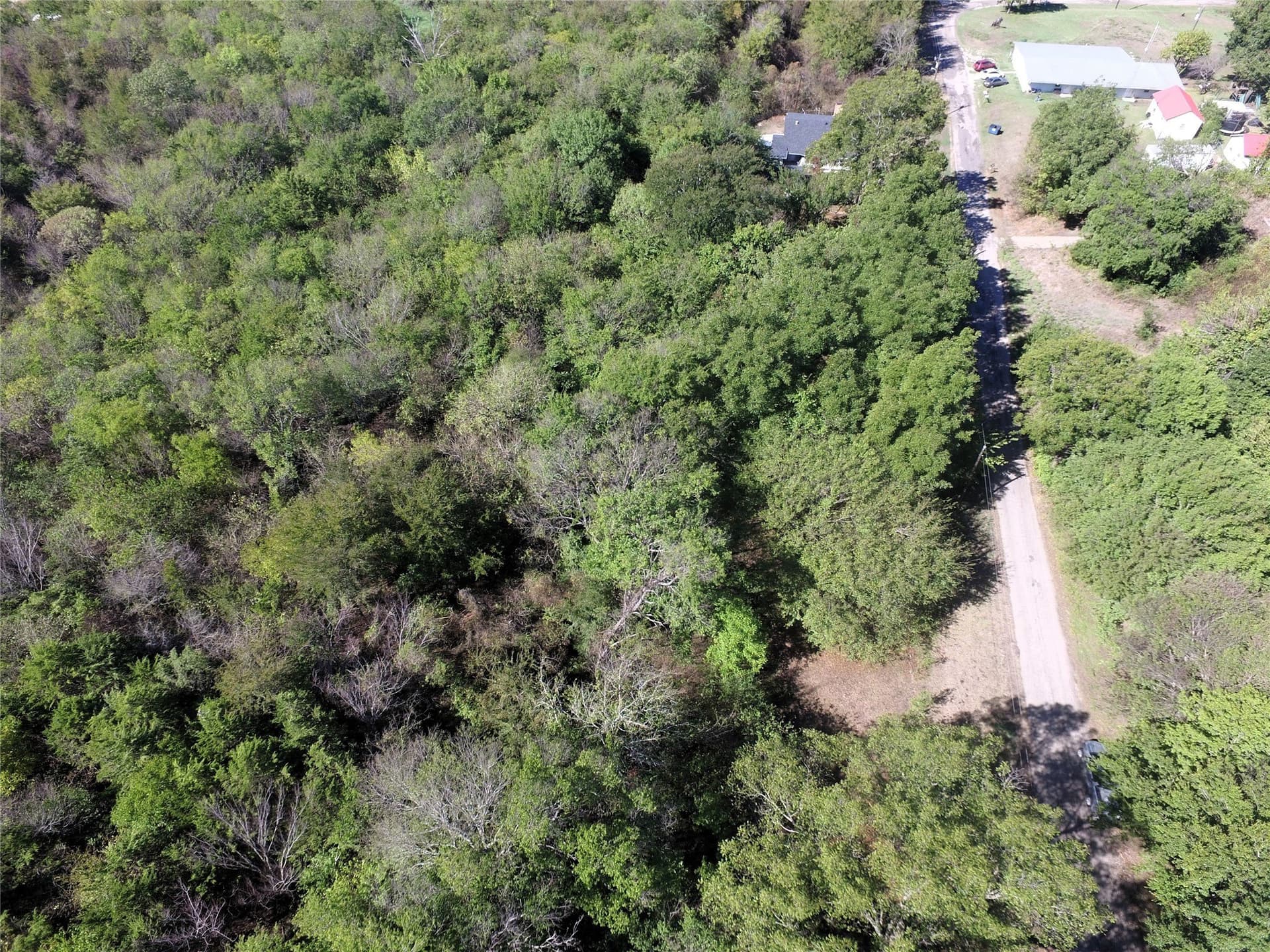 0.64 acres in Rains County - photo 5