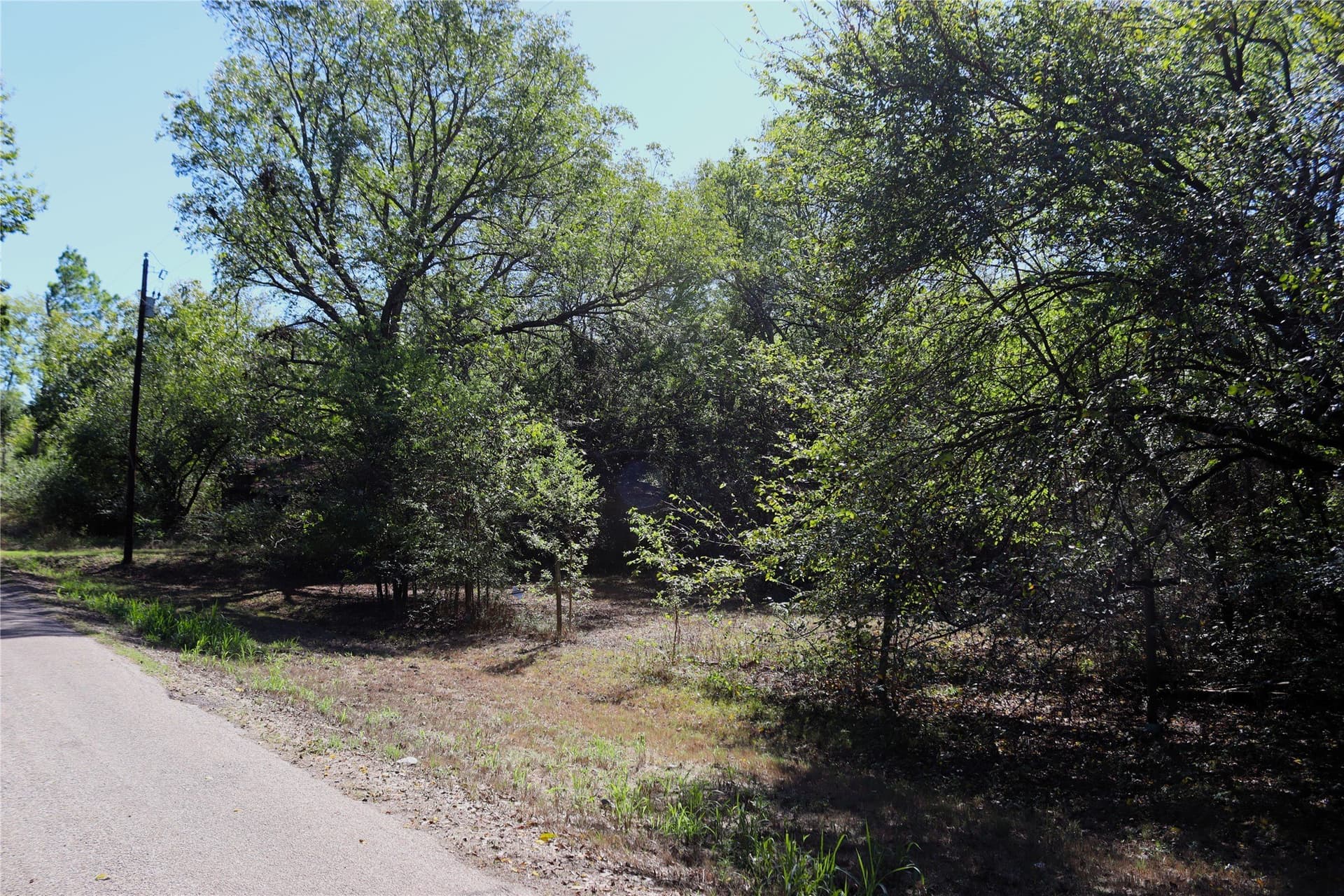 0.64 acres in Rains County - photo 7