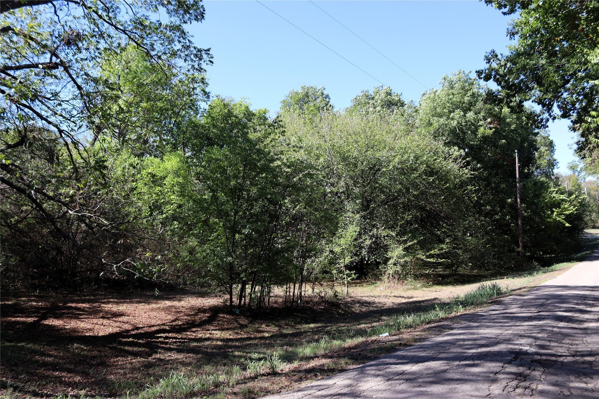0.64 acres in Rains County - photo 4