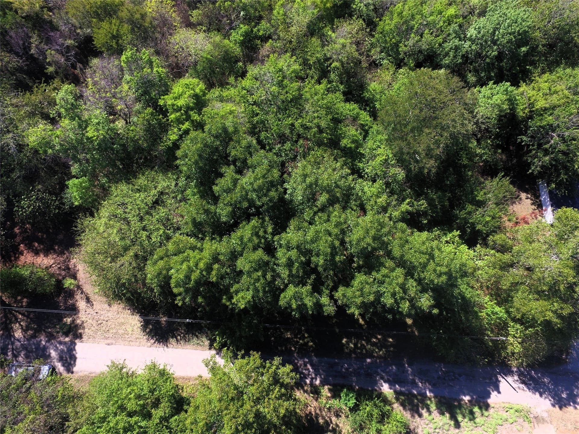 0.64 acres in Rains County - photo 18