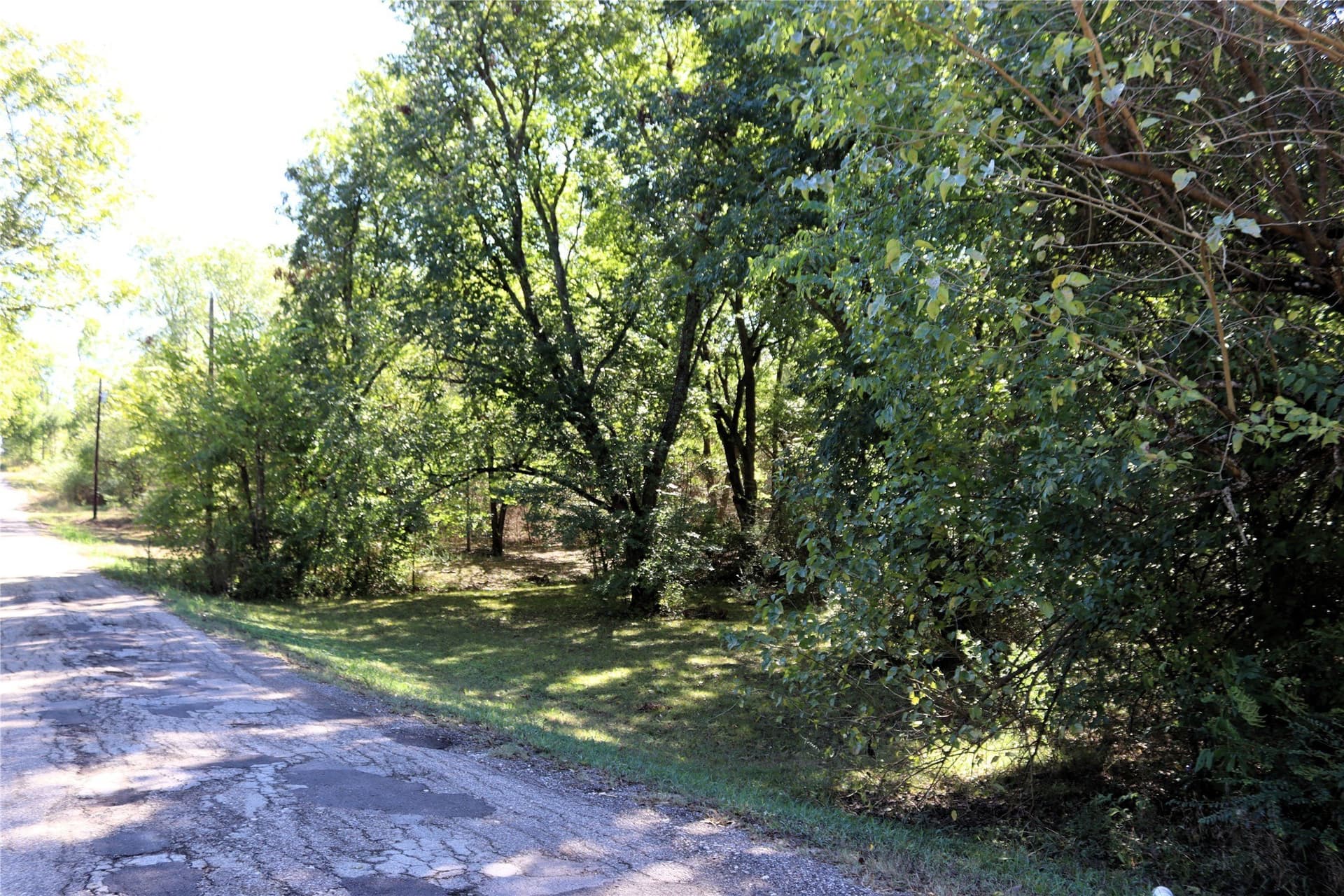 0.64 acres in Rains County - photo 8