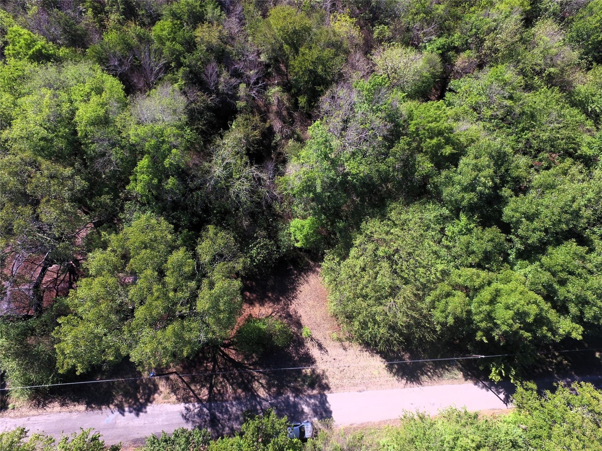 0.64 acres in Rains County - photo 19