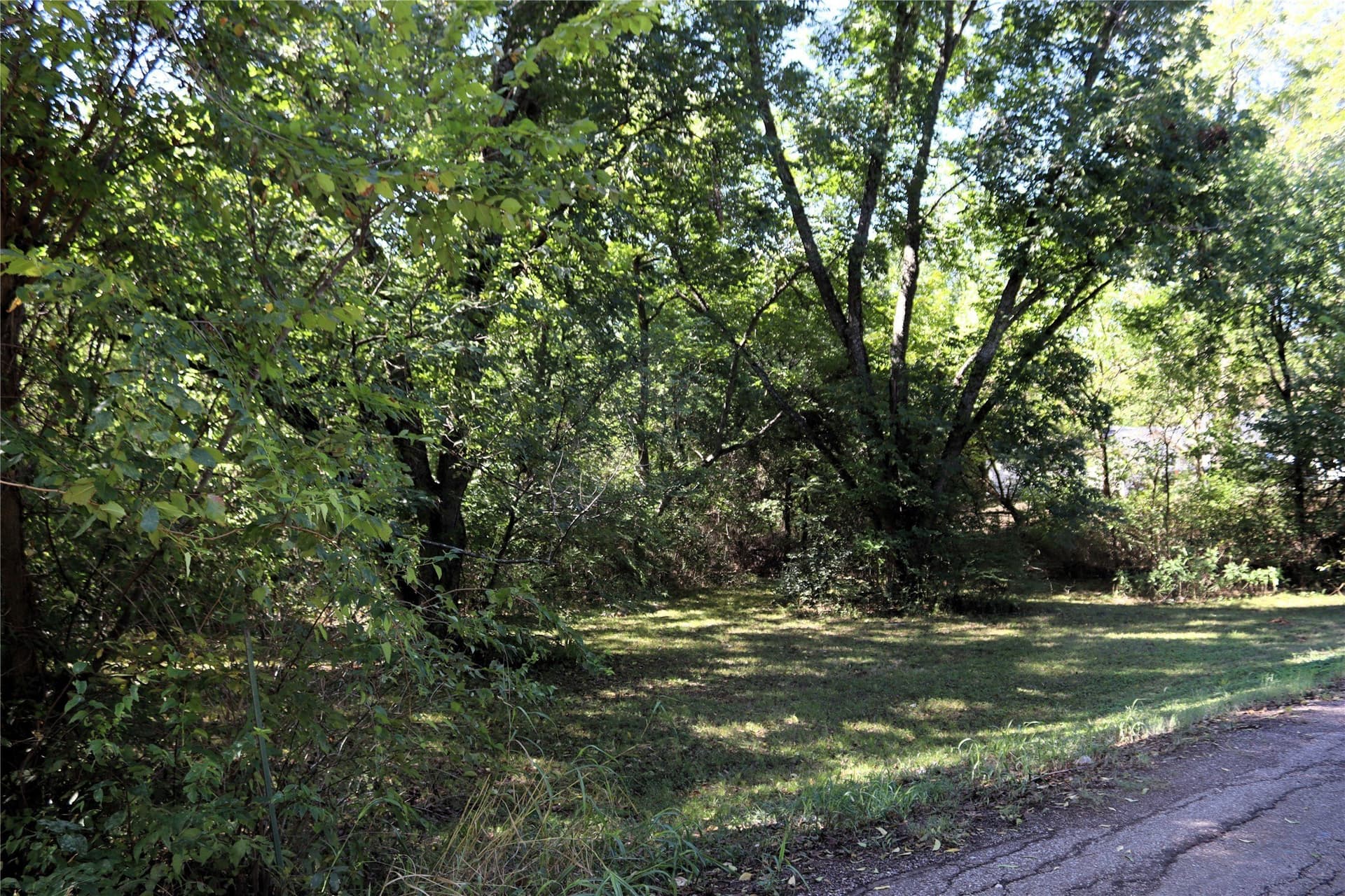 0.64 acres in Rains County - photo 6