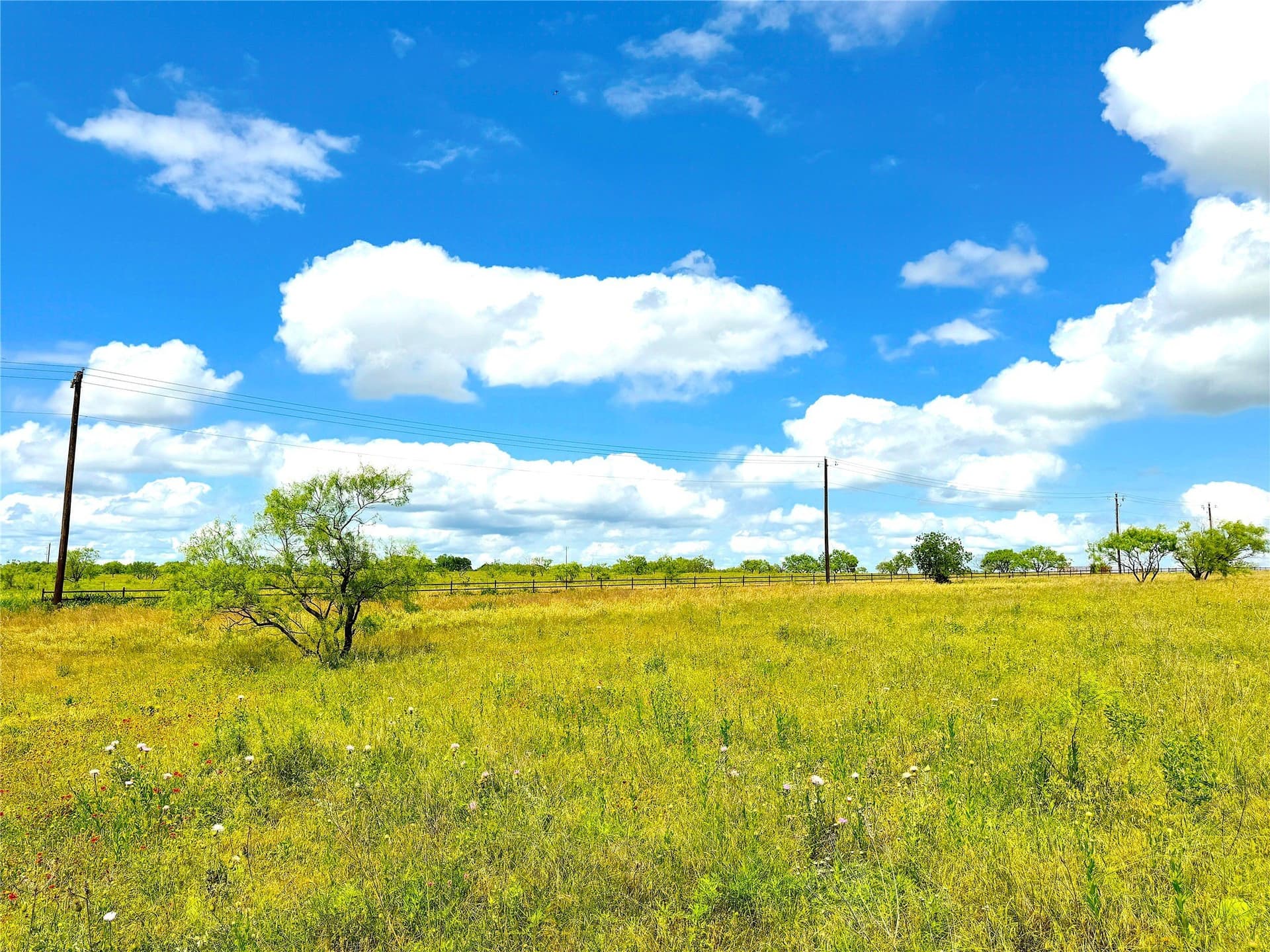 4.6 acres in Parker County - photo 9