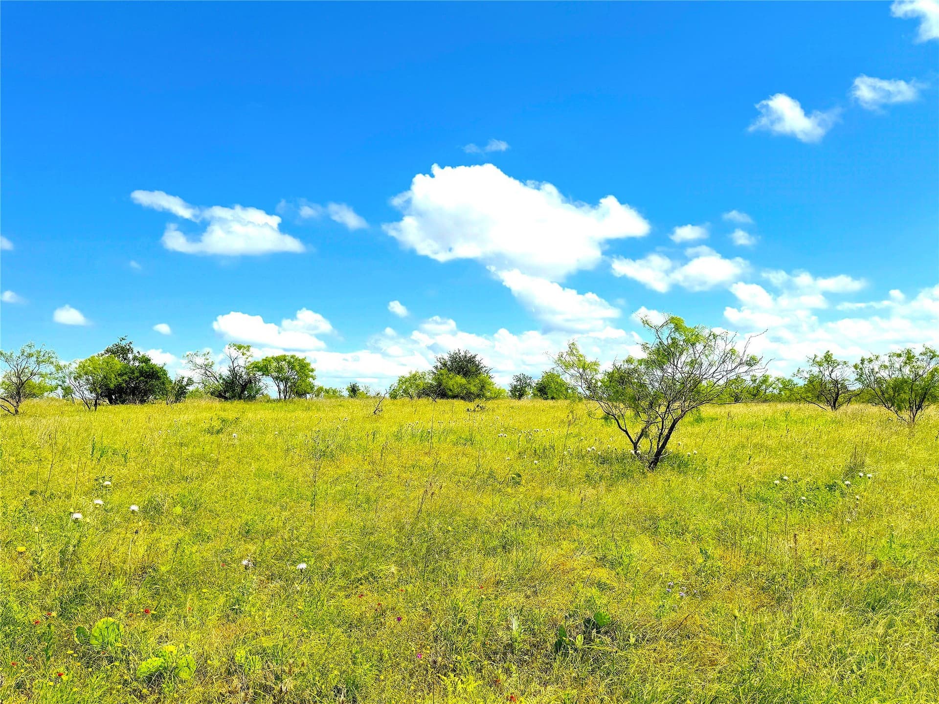 4.6 acres in Parker County - photo 6