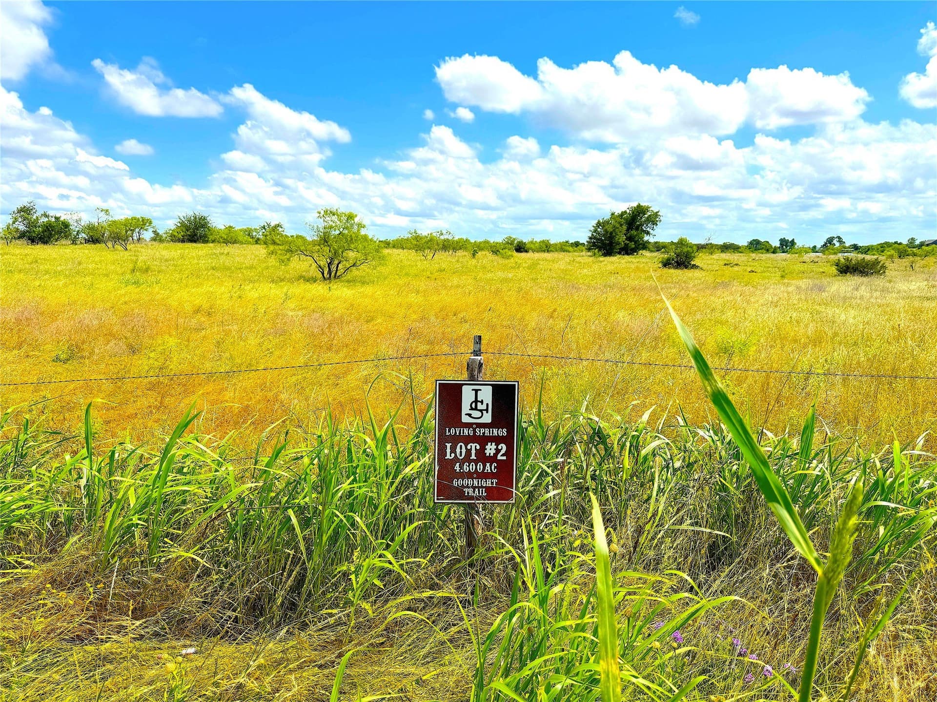 4.6 acres in Parker County - photo 2