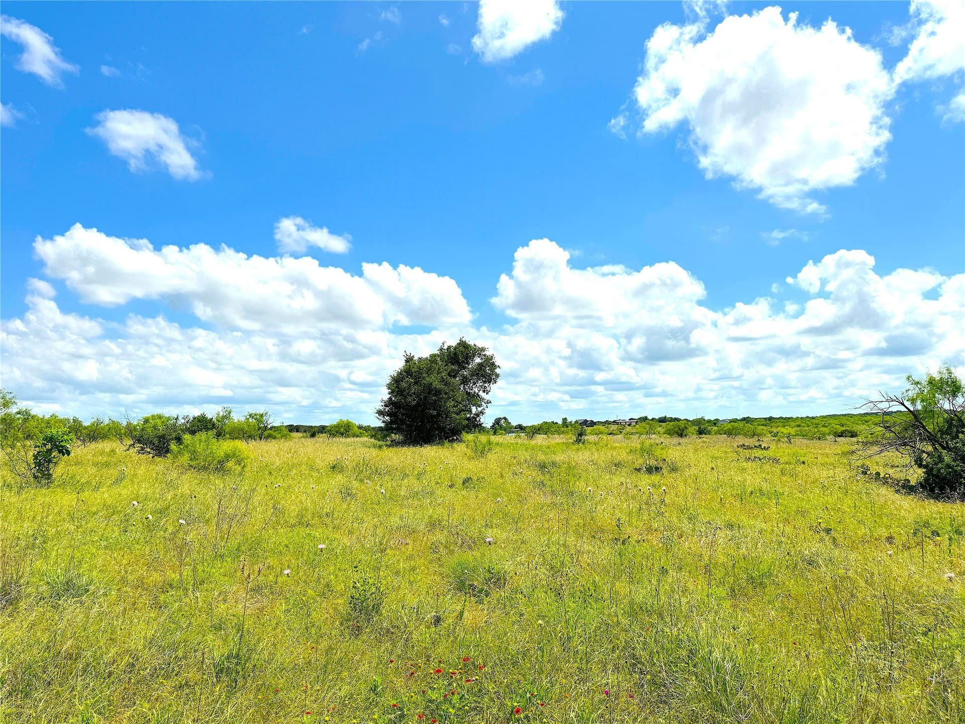 4.6 acres in Parker County - photo 5
