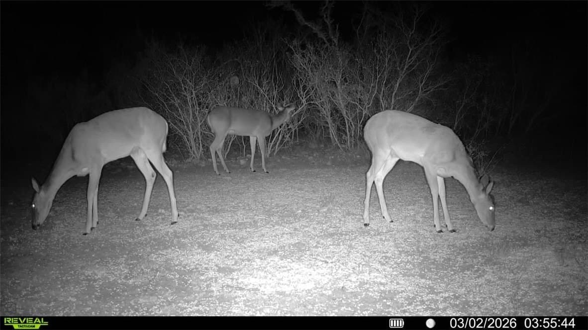 30 acres in Duval County