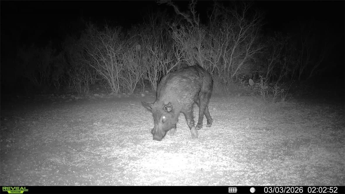 30 acres in Duval County gallery image 3