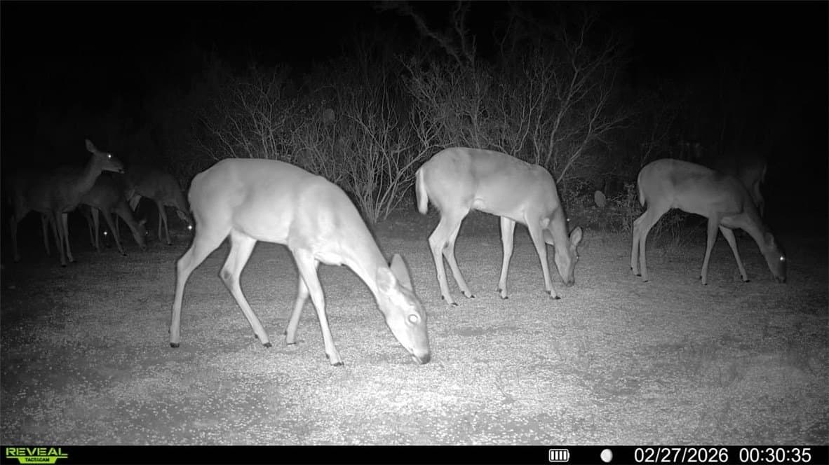 30 acres in Duval County featured view