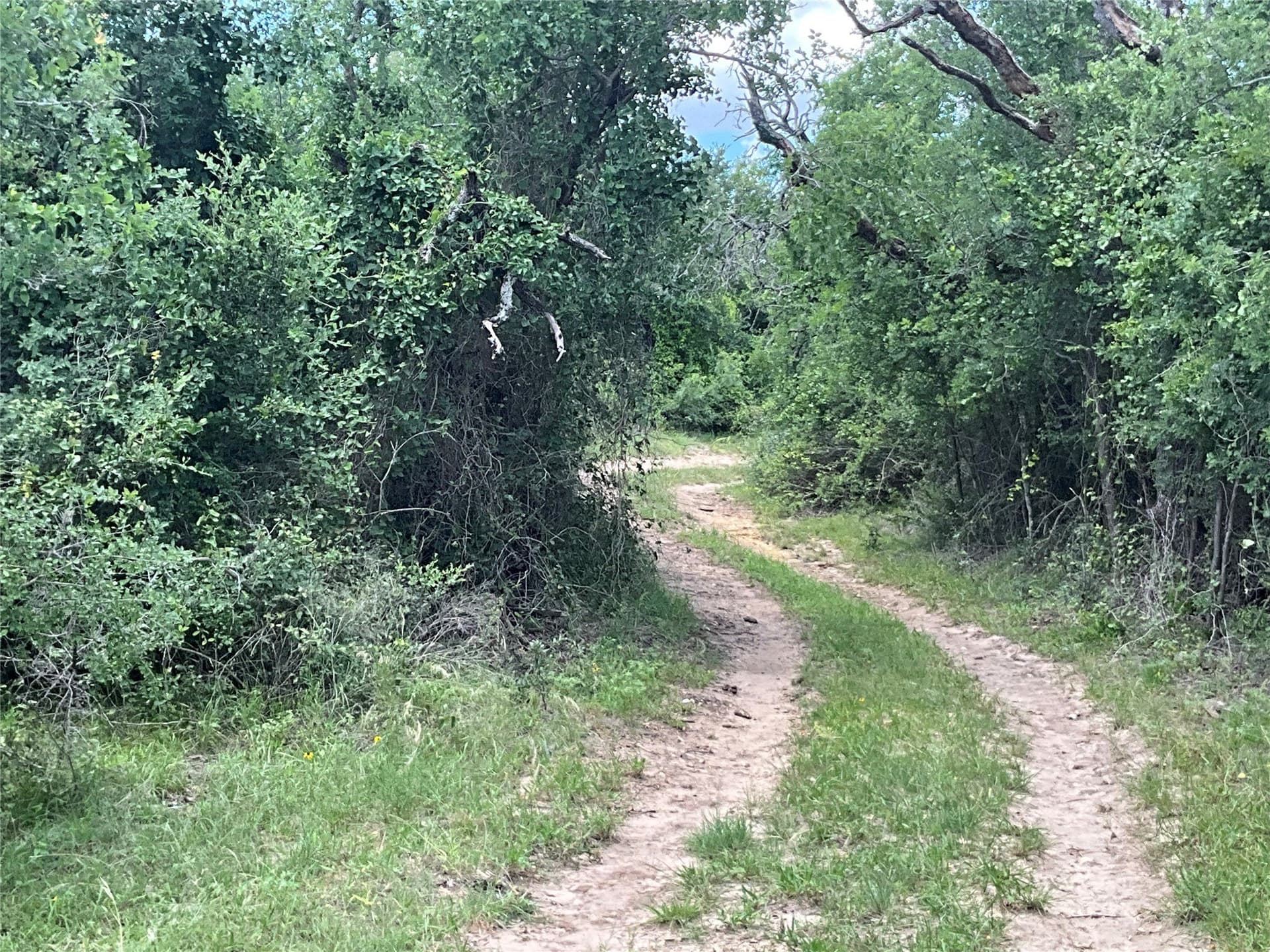 329.17 acres in Comanche County featured view