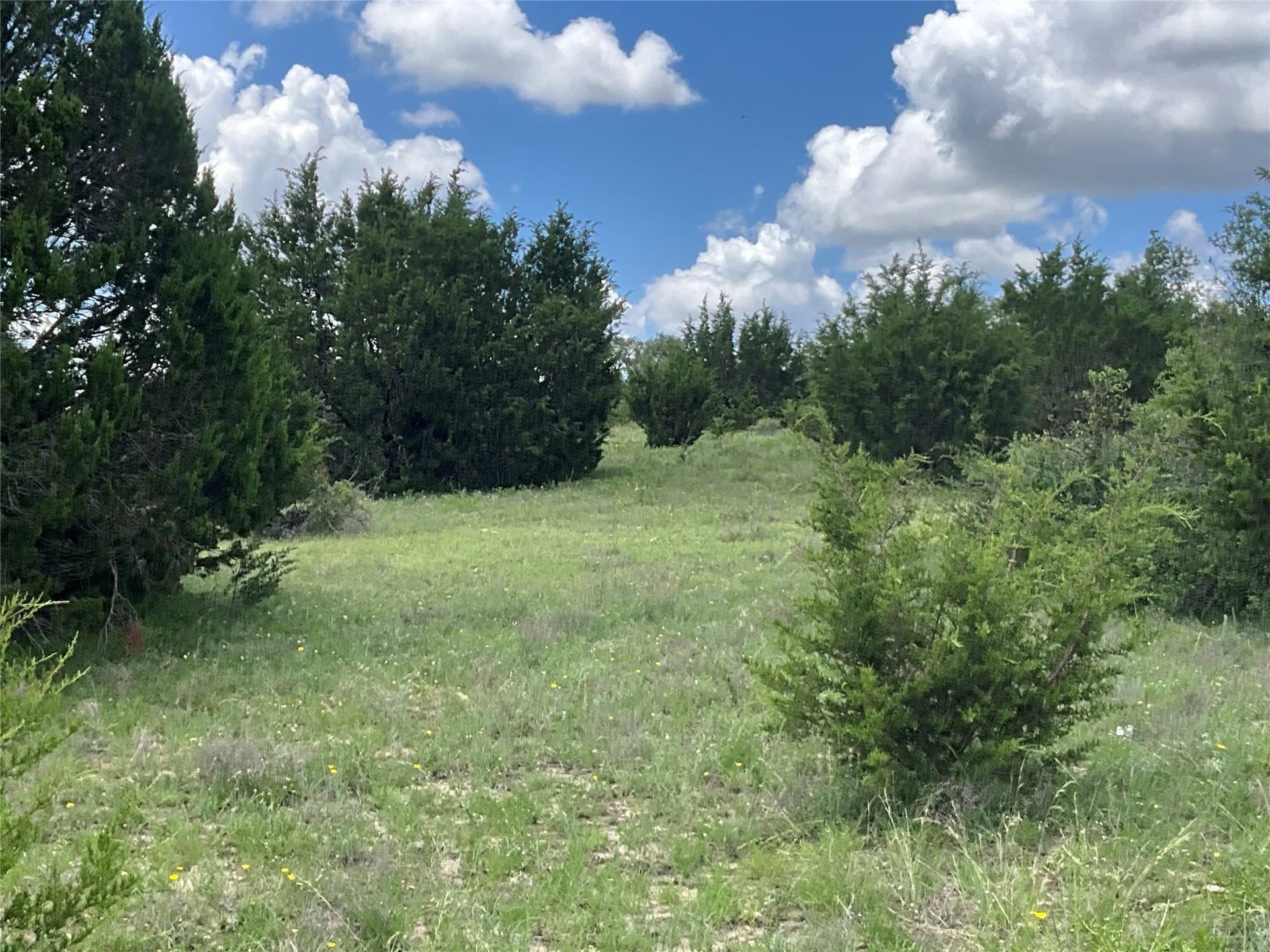 329.17 acres in Comanche County gallery image 4