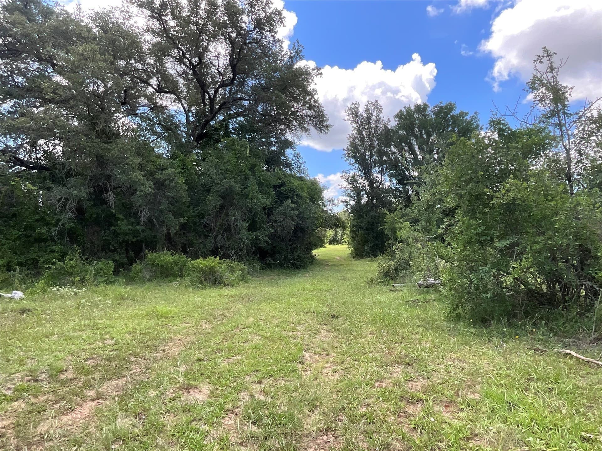 329.17 acres in Comanche County gallery image 2