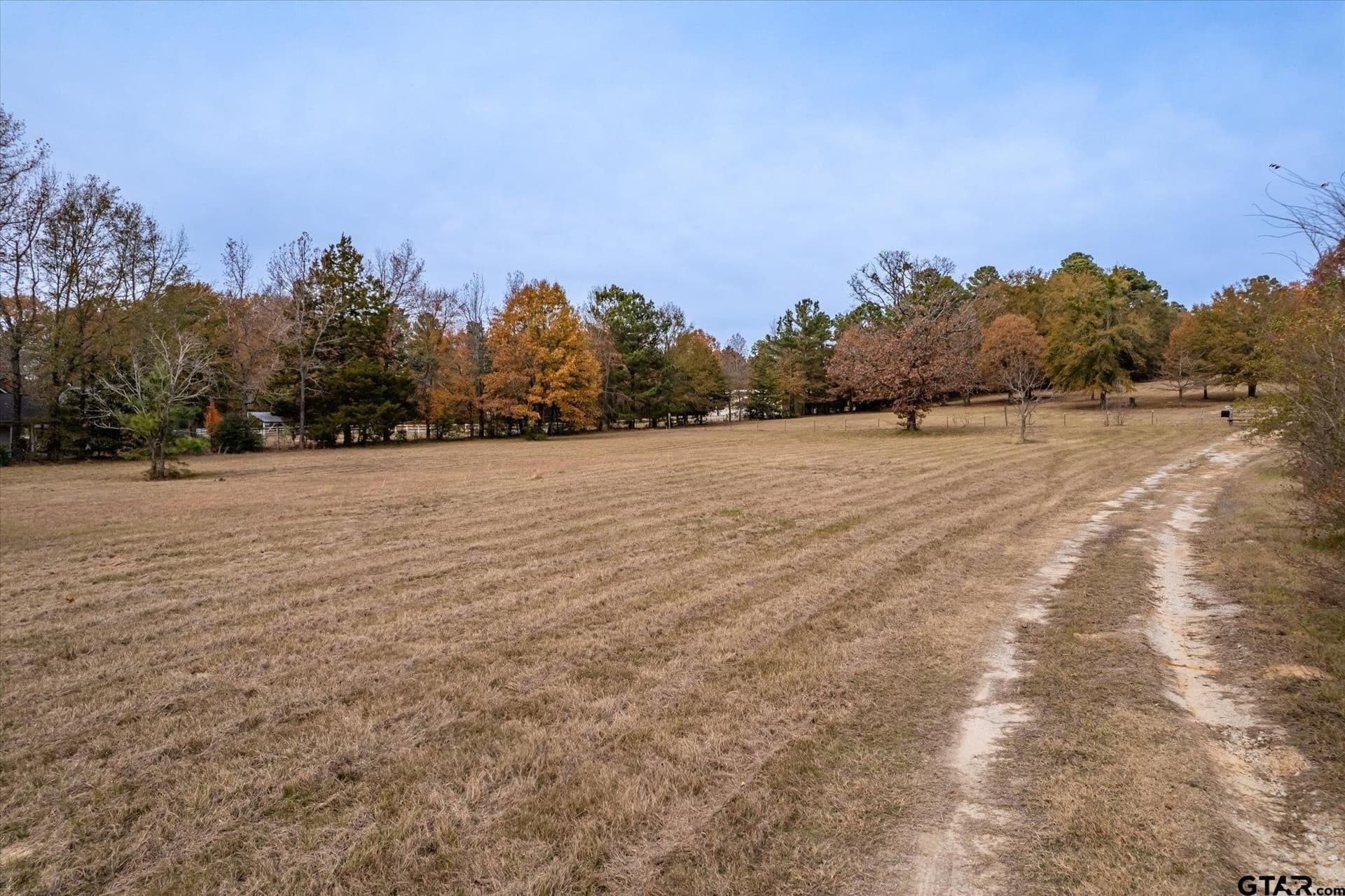 6 acres in Smith County - photo 12