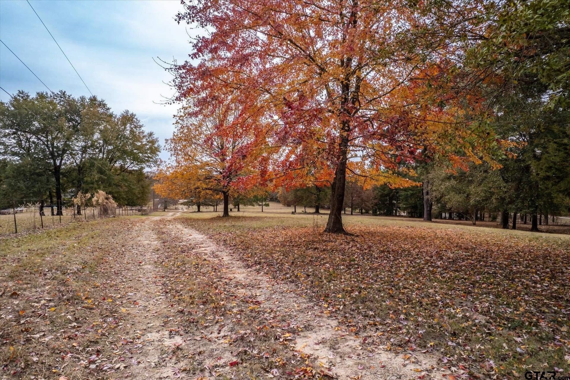 6 acres in Smith County - photo 8
