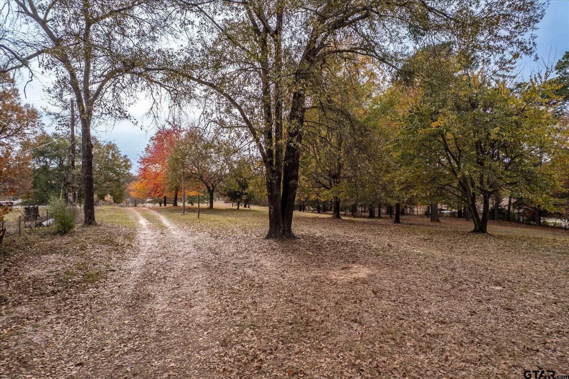 6 acres in Smith County - photo 7