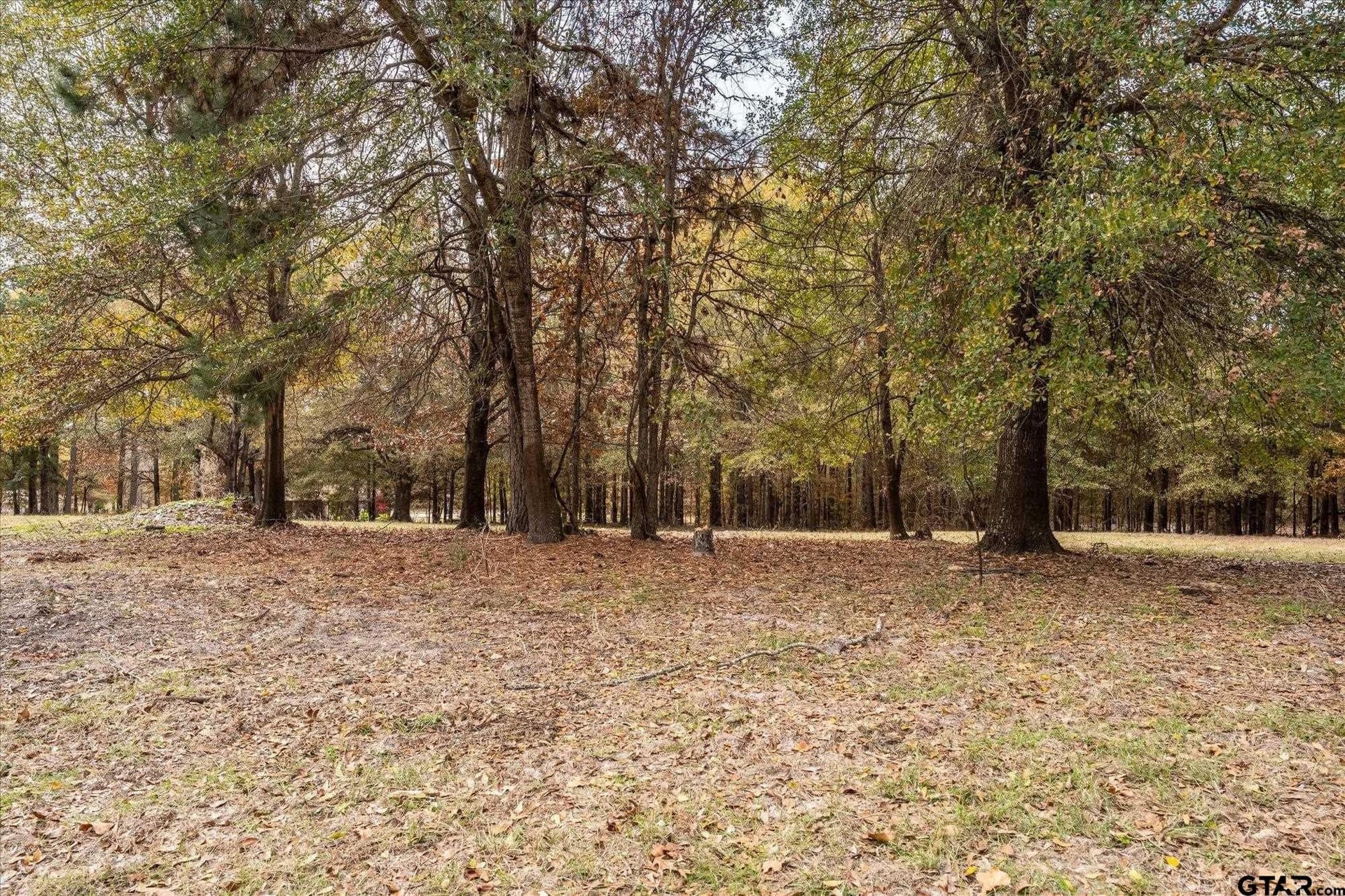 6 acres in Smith County - photo 20