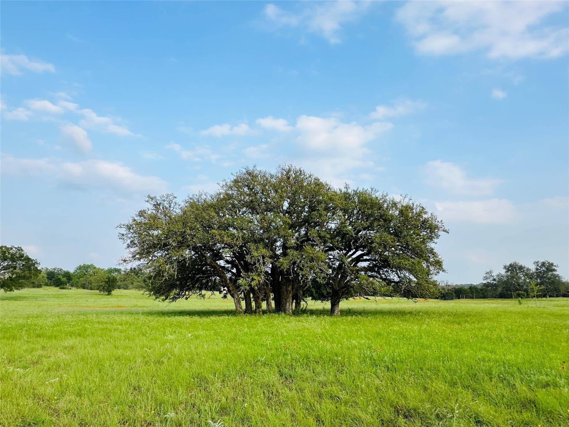 5.25 acres in Burnet County - photo 11