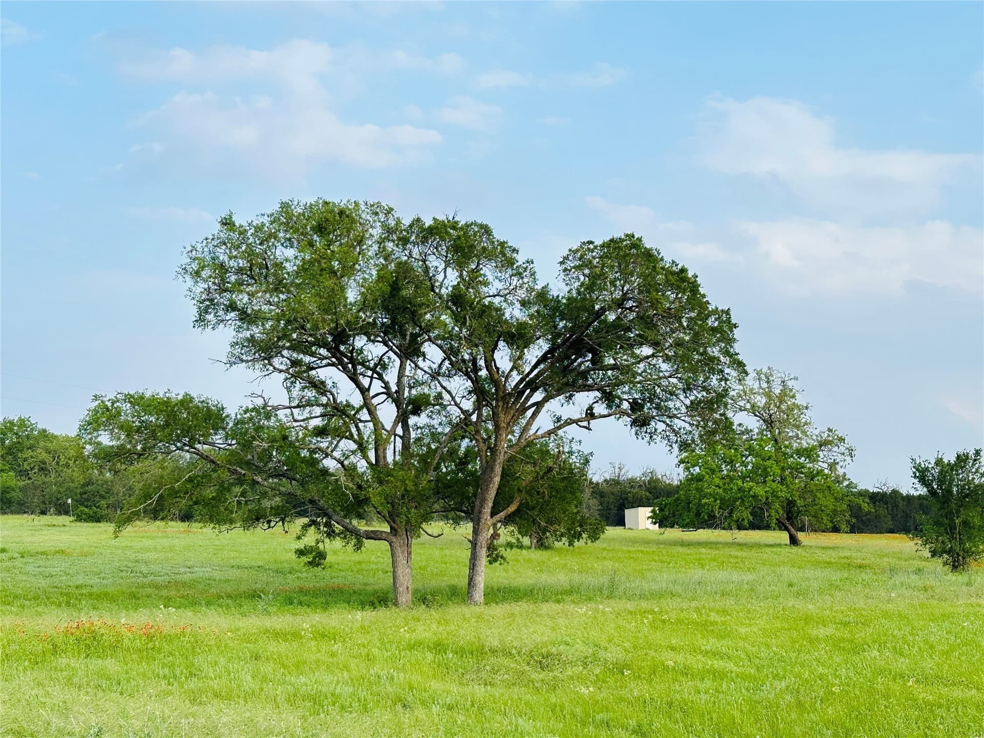 5.25 acres in Burnet County - photo 12