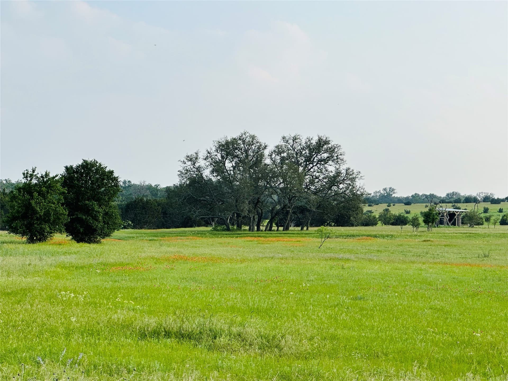 5.25 acres in Burnet County - photo 13