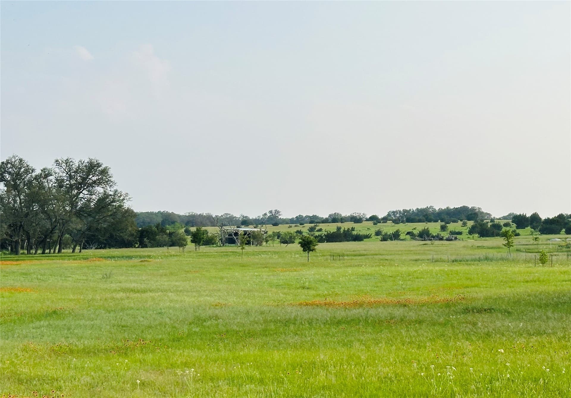 5.25 acres in Burnet County - photo 15