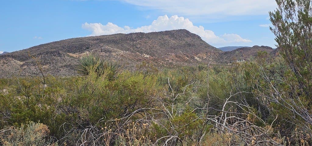 20 acres in Brewster County gallery image 4