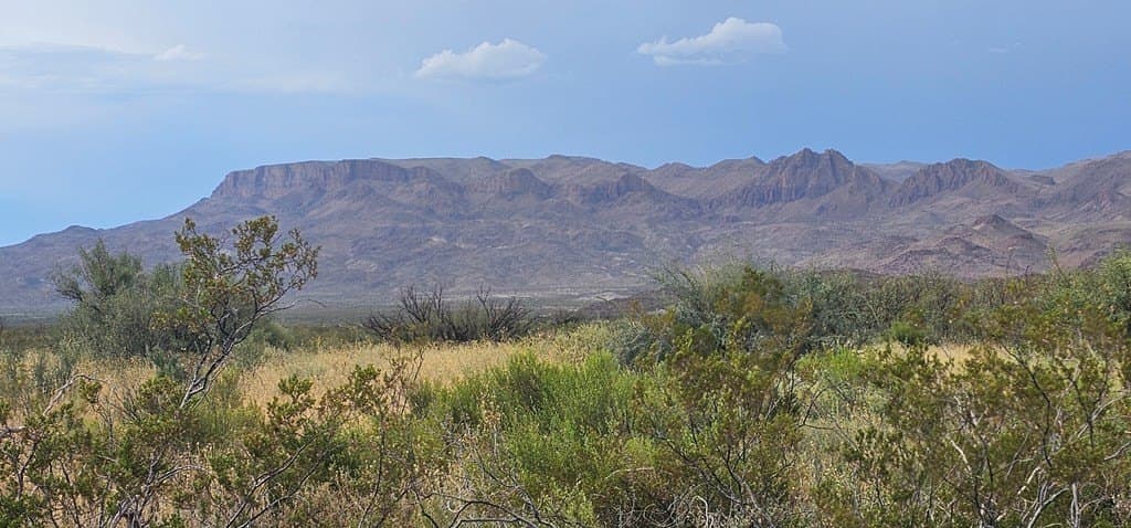 20 acres in Brewster County gallery image 3